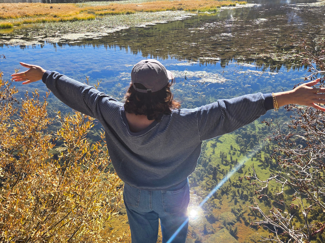 村庄小屋酒店主图