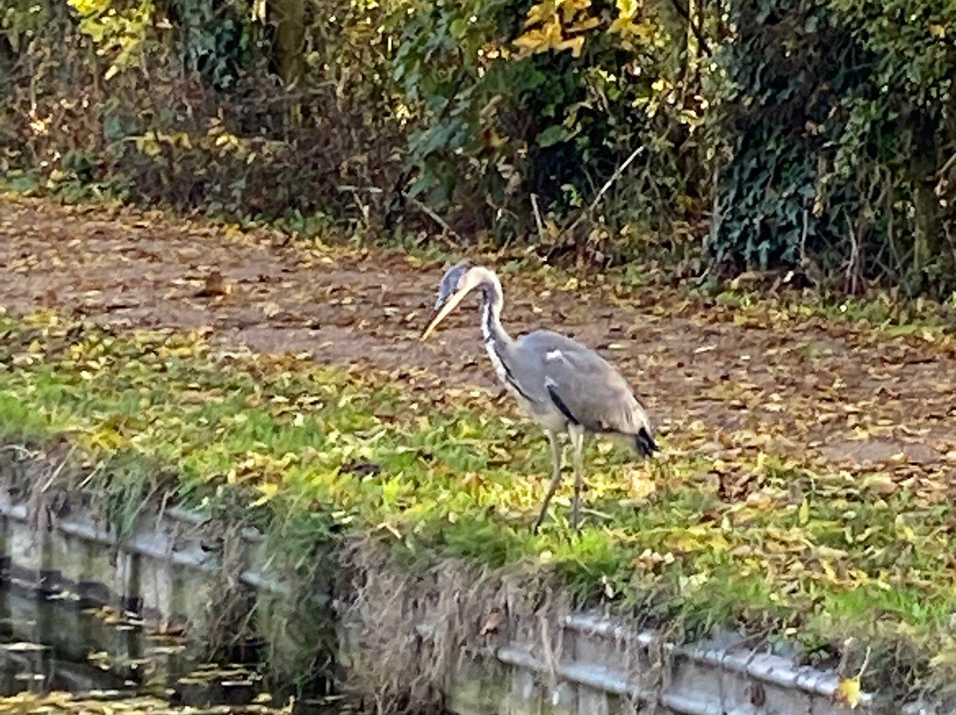 Union Wharf Narrowboats-马基特哈伯勒必去景点