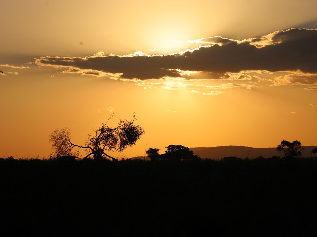 Tanzania-Experience-阿鲁沙必去景点