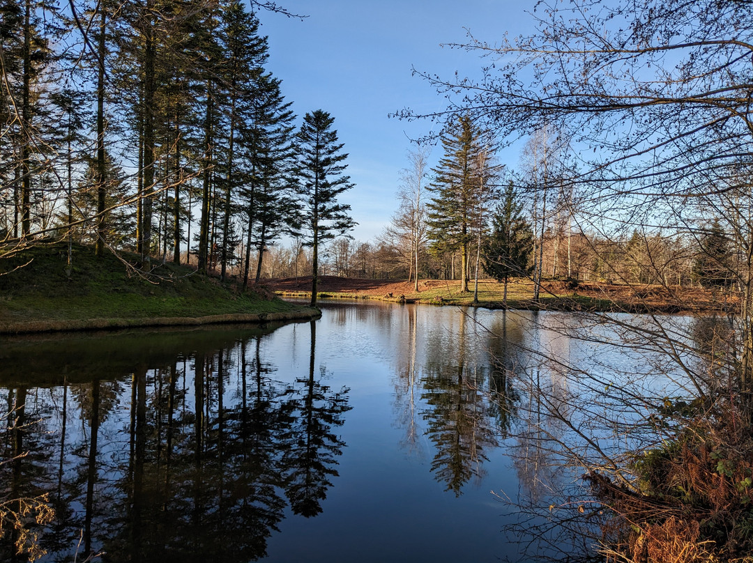 Plateau des Mille Etangs-Beulotte-Saint-Laurent必去景点