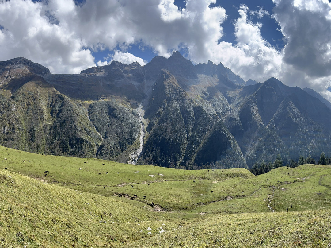 Himalaya Shelter-阿姆利则必去景点