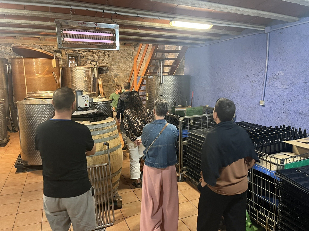 Celler Devinssi-Gratallops必去景点