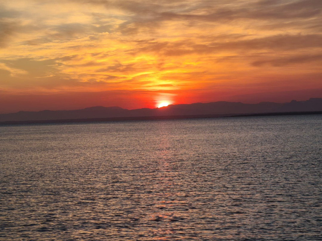 Nomadic Sails-Wasini Island必去景点