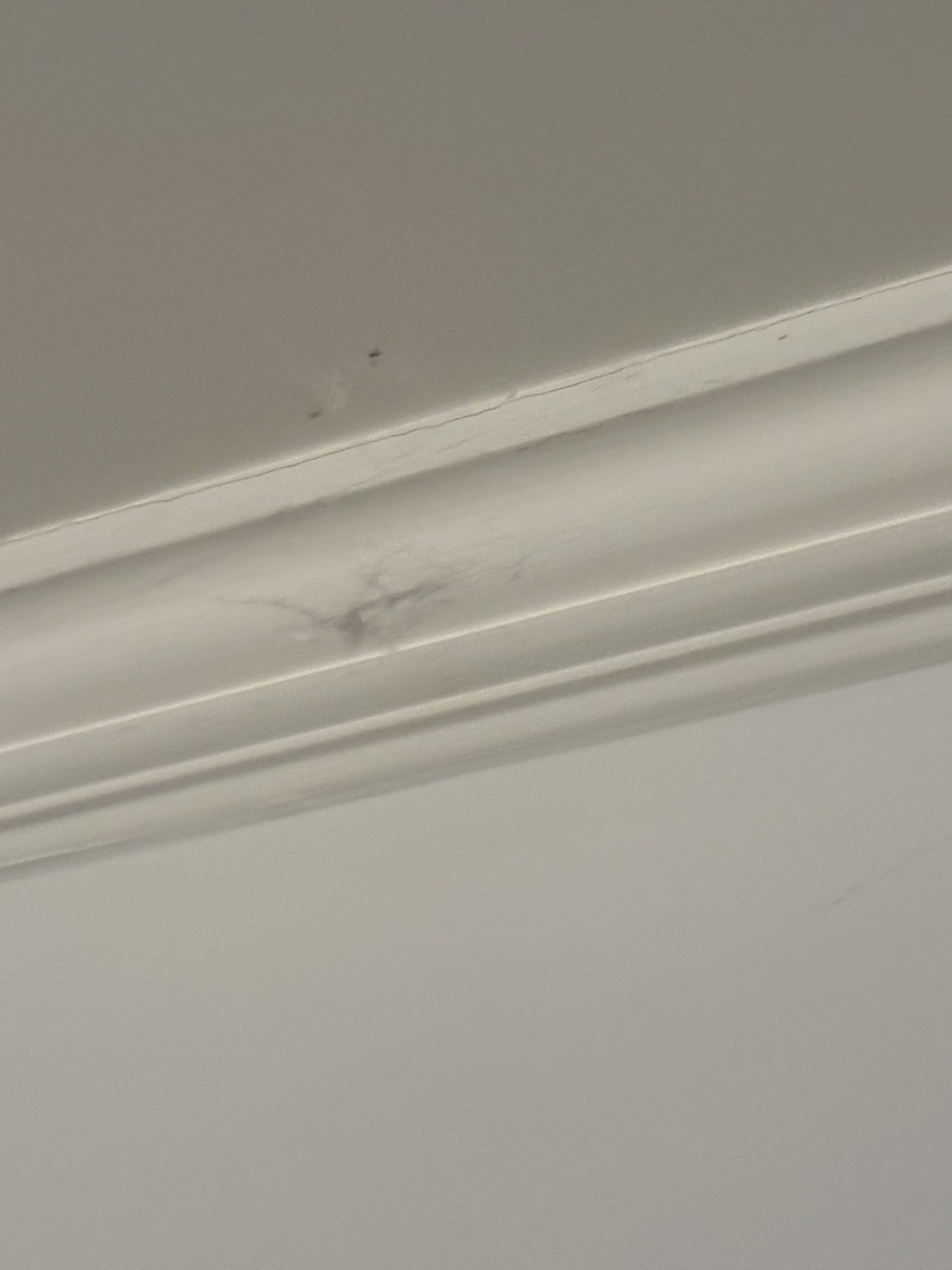 Catskill Seasons Inn-官方