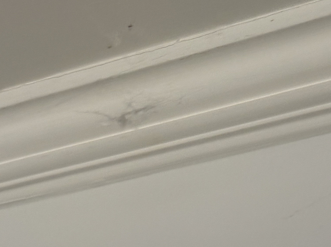 Catskill Seasons Inn主图