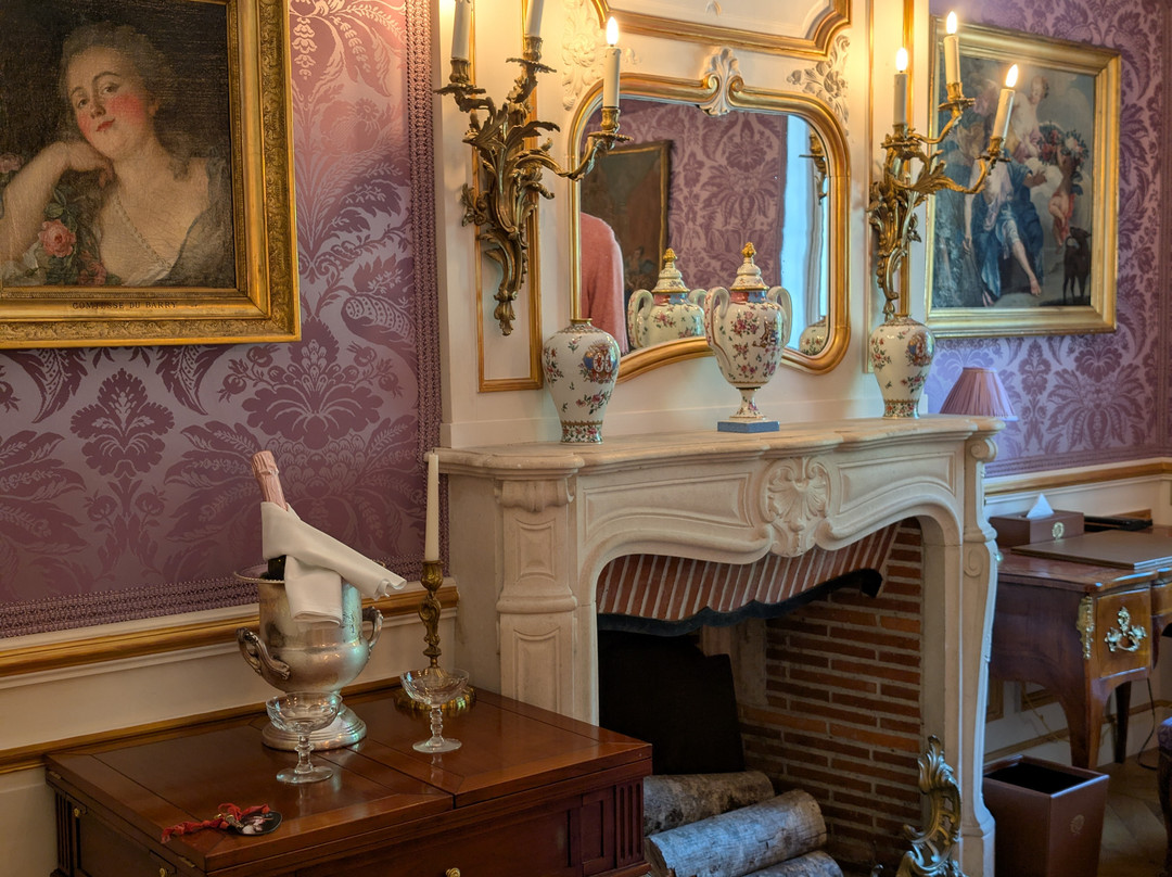 Château Louise De La Vallière Reugny主图