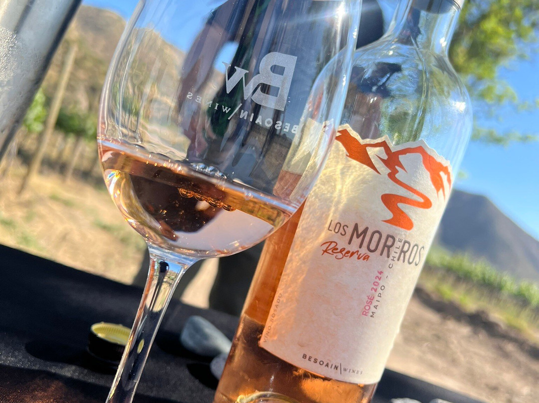 BESOAIN Wines-Pirque必去景点