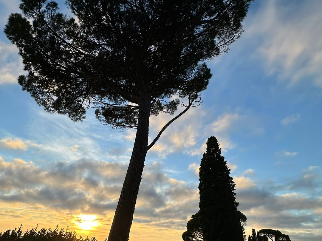 Domaine de Malagar-Saint-Maixant必去景点