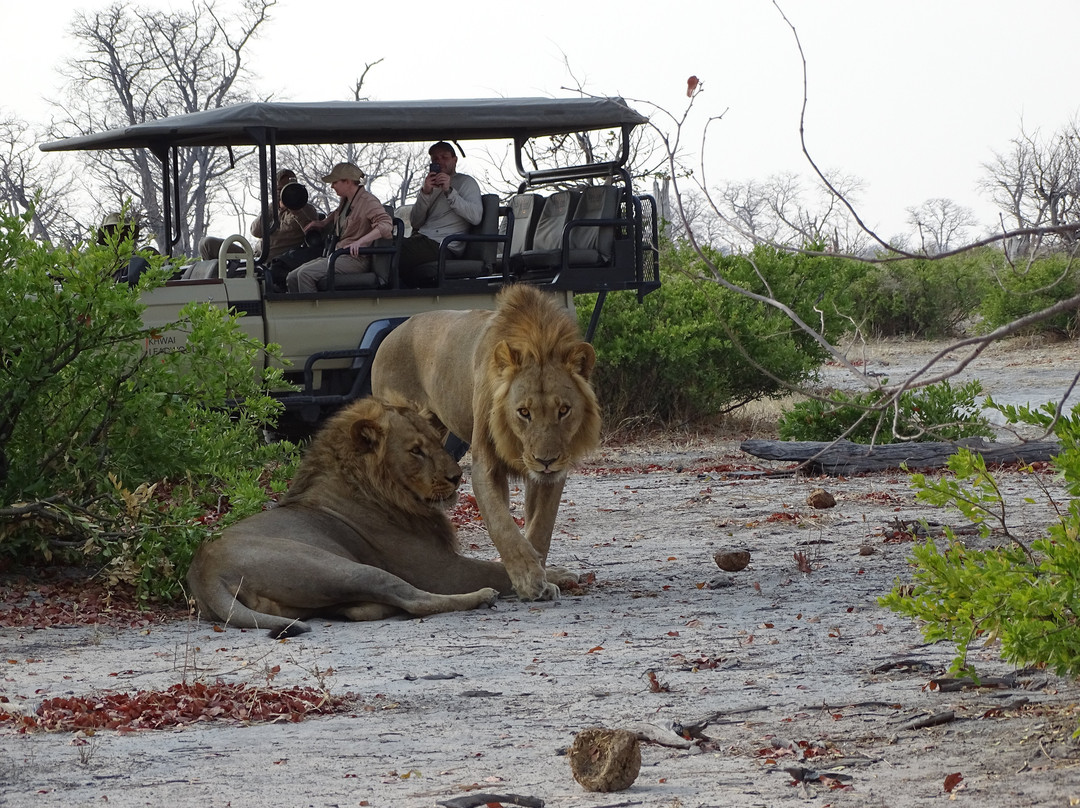 Spoor Tracker Adventures-null必去景点