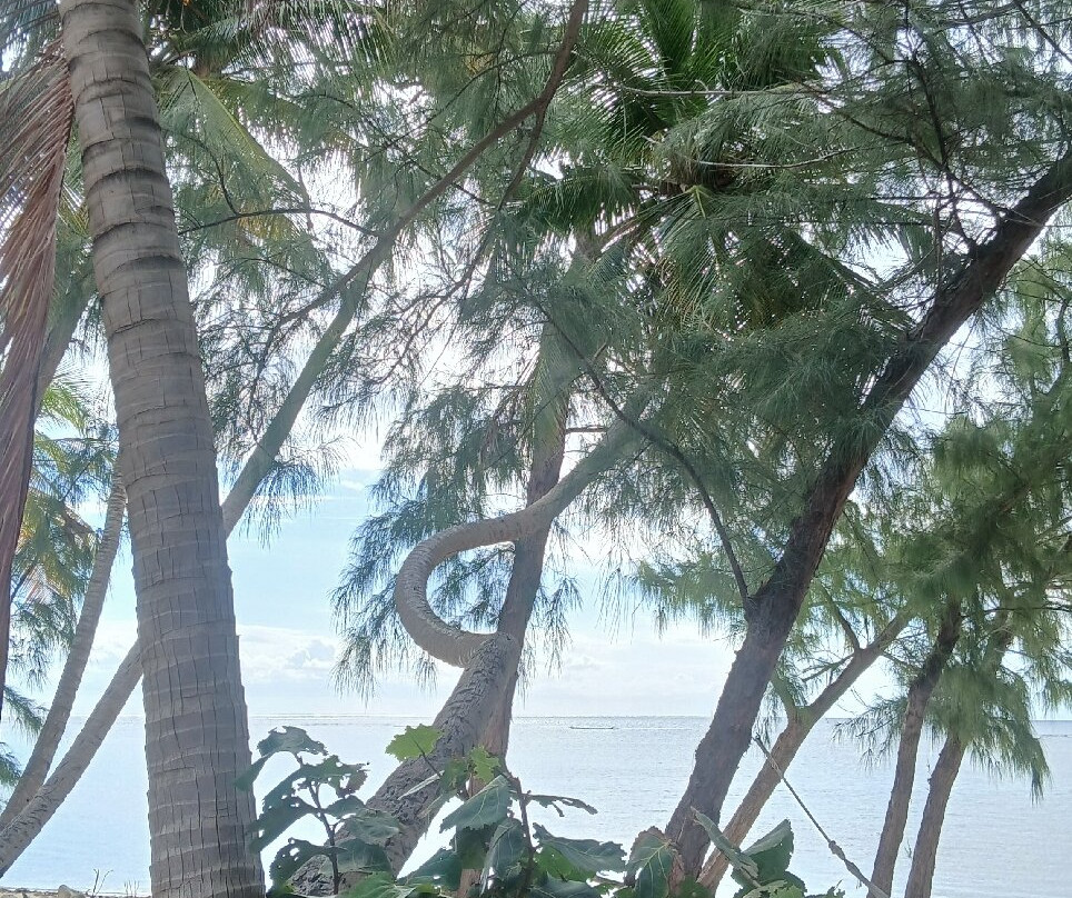 ECO Rides Cayman-East End必去景点