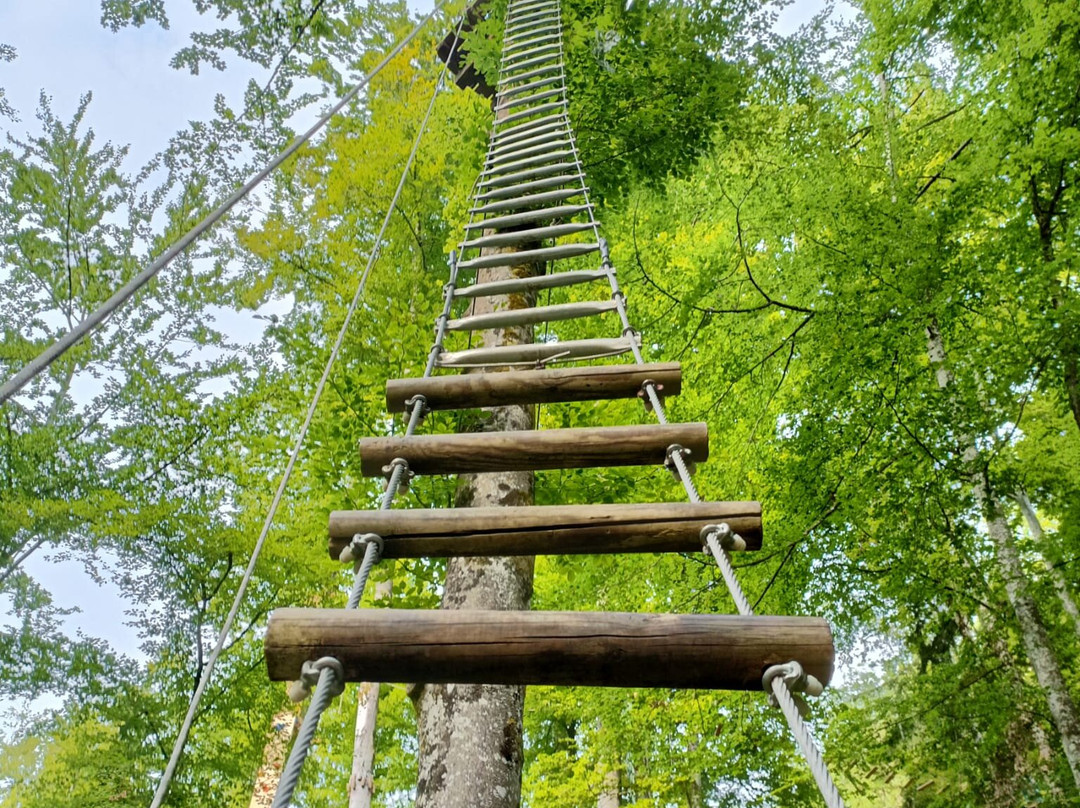 Gr Aventure Accroparc-Bellevaux必去景点