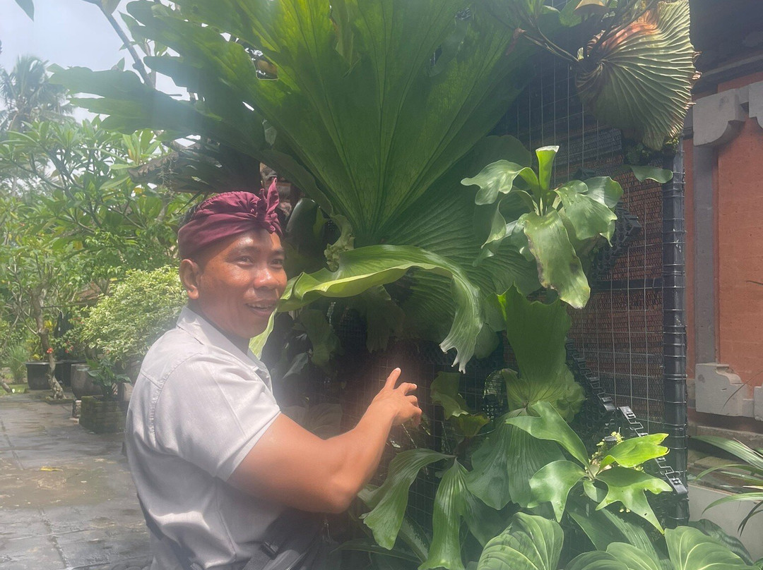 Bali Culture Tours-吉安雅必去景点