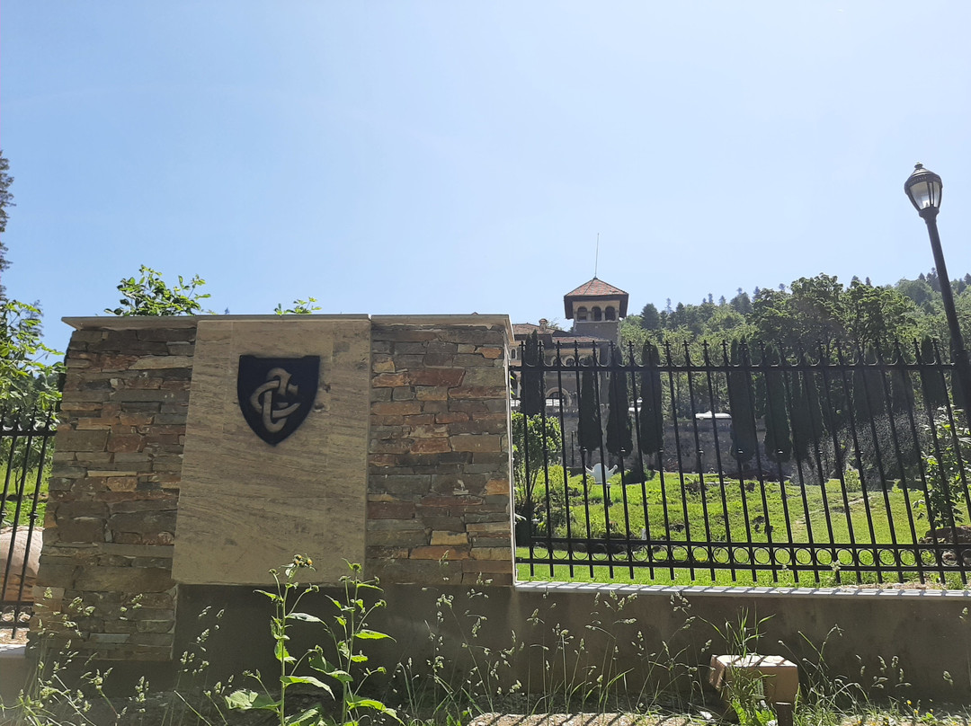 Cantacuzino Castle-布什泰尼必去景点