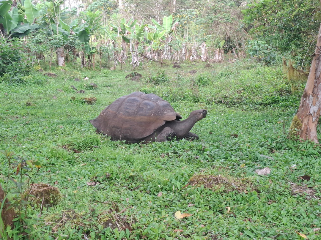 Smart Galapagos-阿约拉港必去景点