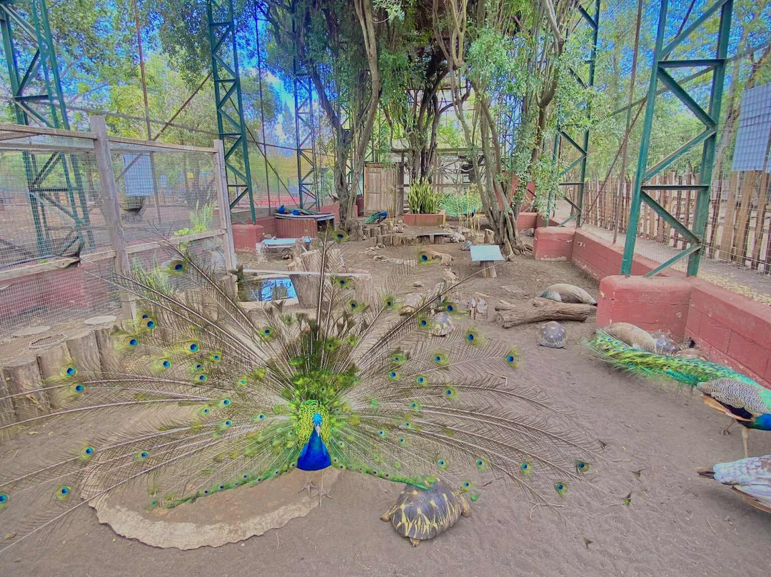 Croc Parc-L'Etang-Sale必去景点