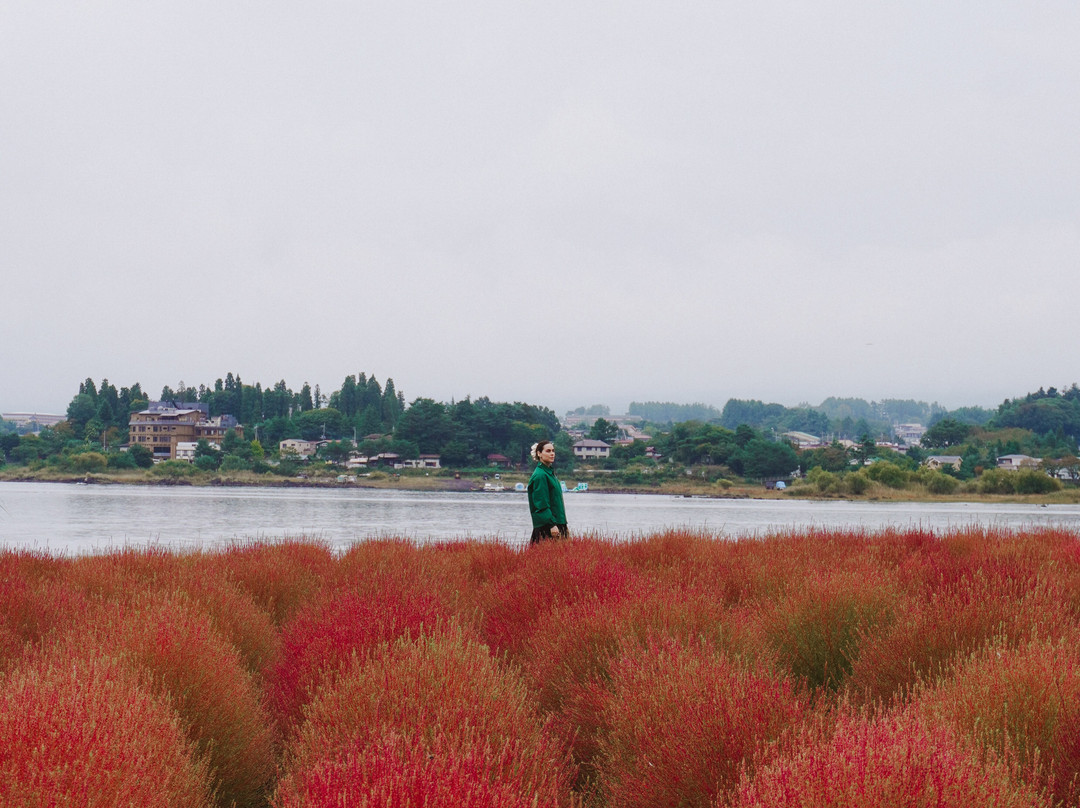 大石公园-富士河口湖町必去景点
