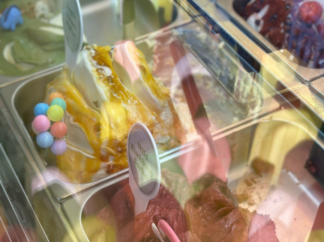 Sentosa SensoryScape-新加坡必去景点