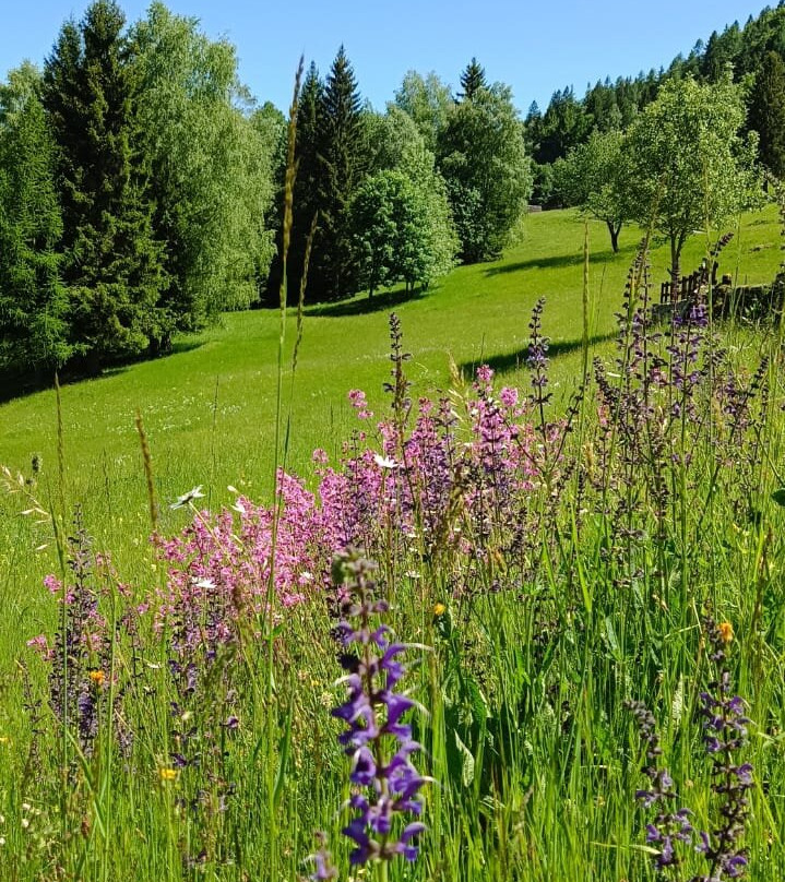 Alpe Esigo-Alpe Devero必去景点