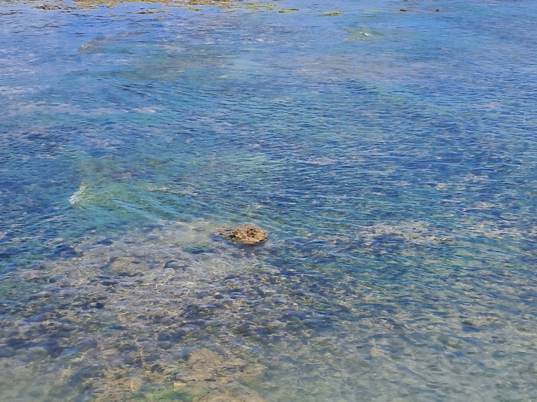 Piscinas Naturais do Seixas-Joao Pessoa必去景点