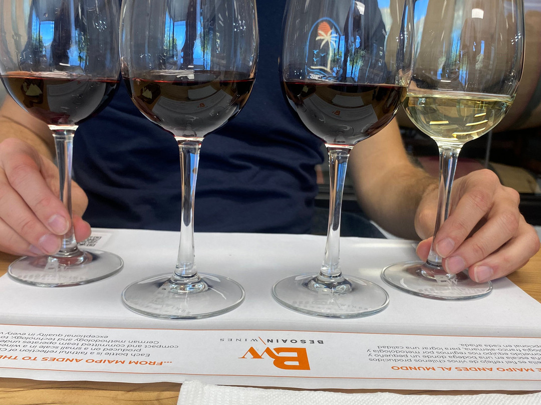 BESOAIN Wines-Pirque必去景点