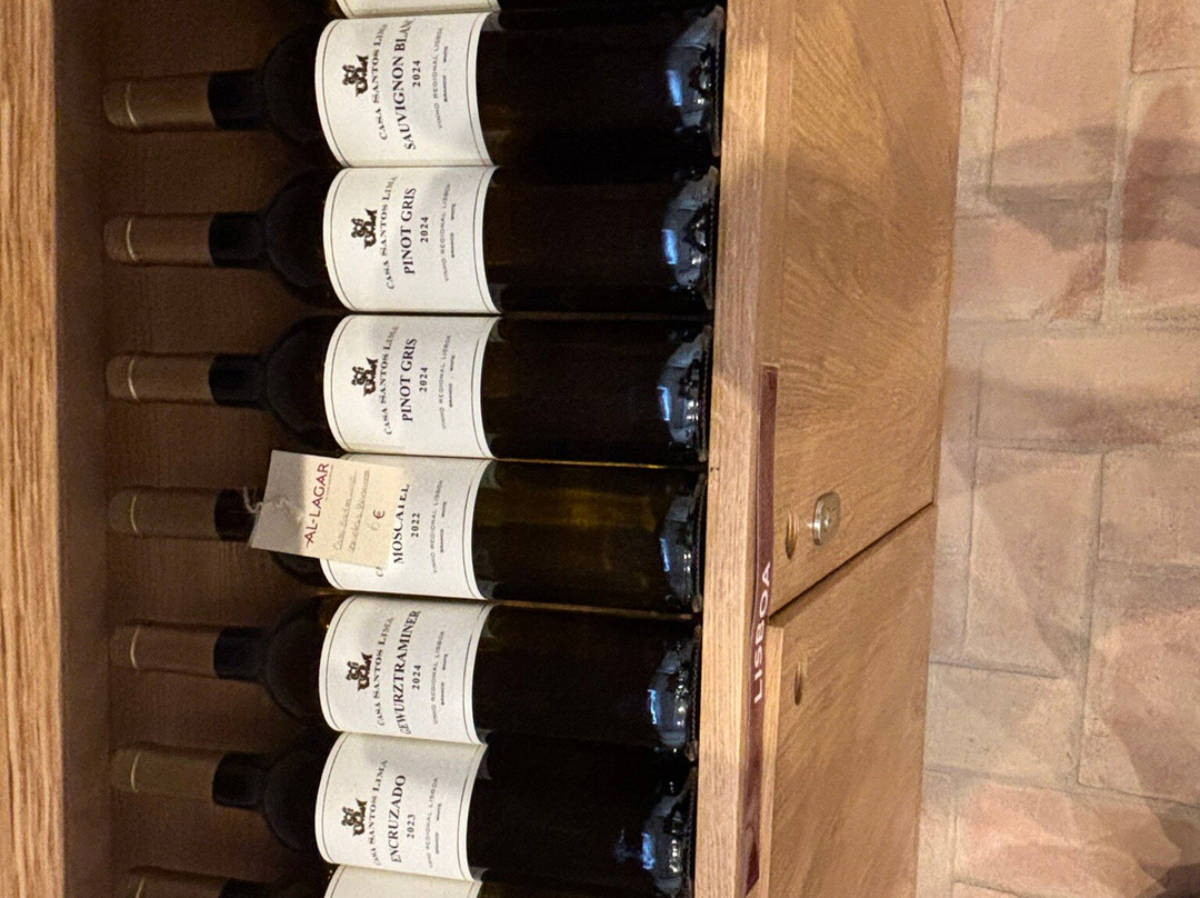 Al-lagar-塔维拉必去景点