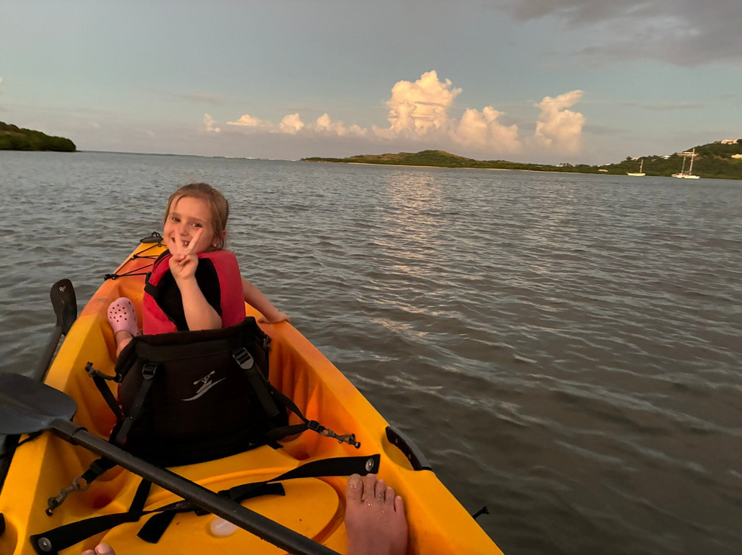 BushTribe Eco Adventures-Christiansted必去景点