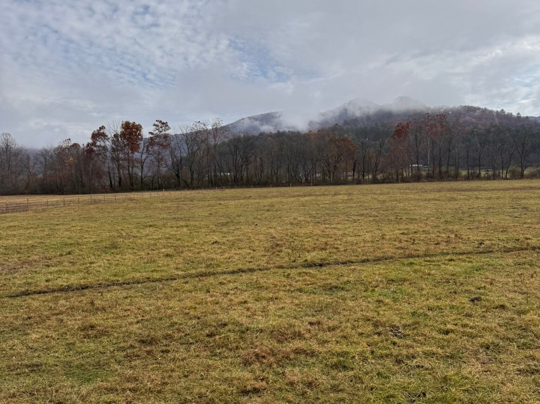 Dillard House Stables-Dillard必去景点