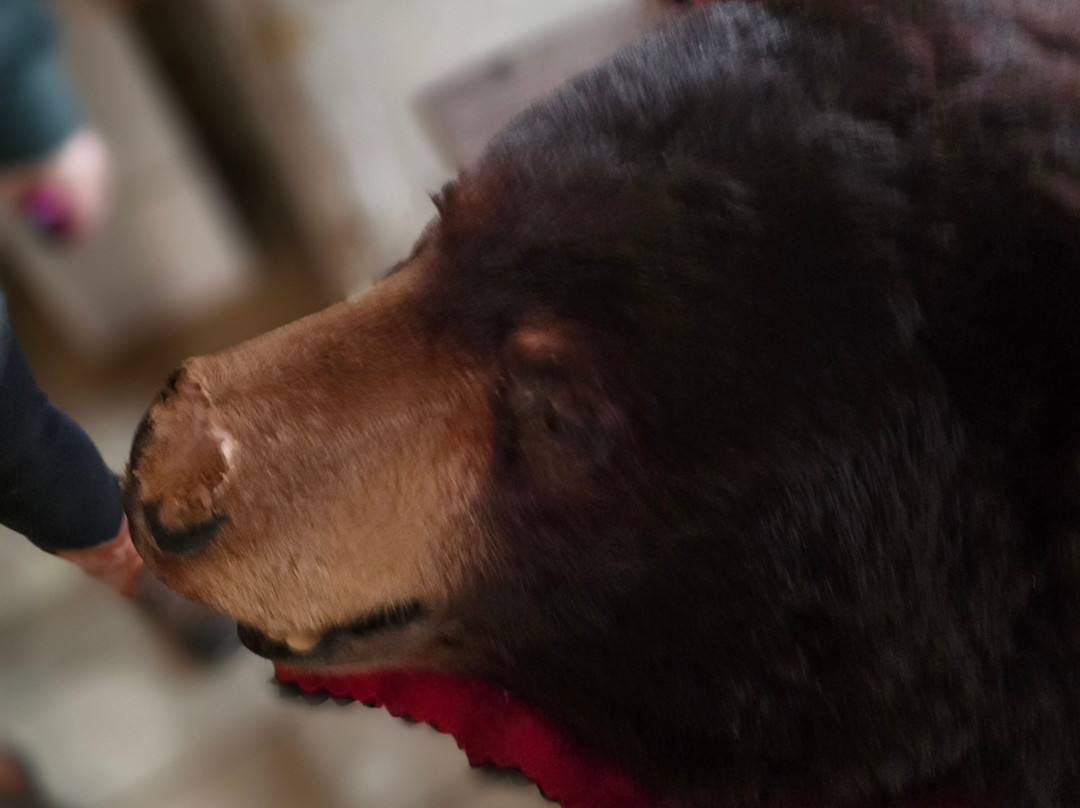 Hard Truth Distilling Co.-纳什维尔必去景点