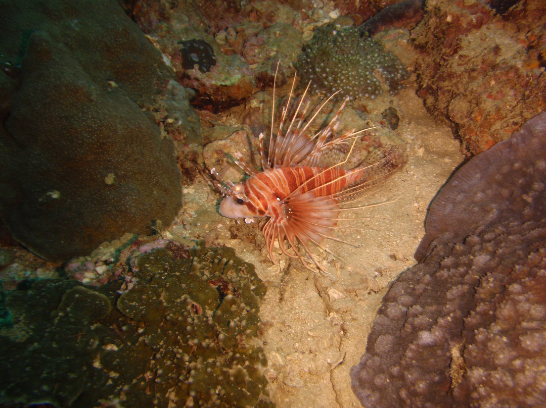 Extra Divers Sifah-As Sifah必去景点