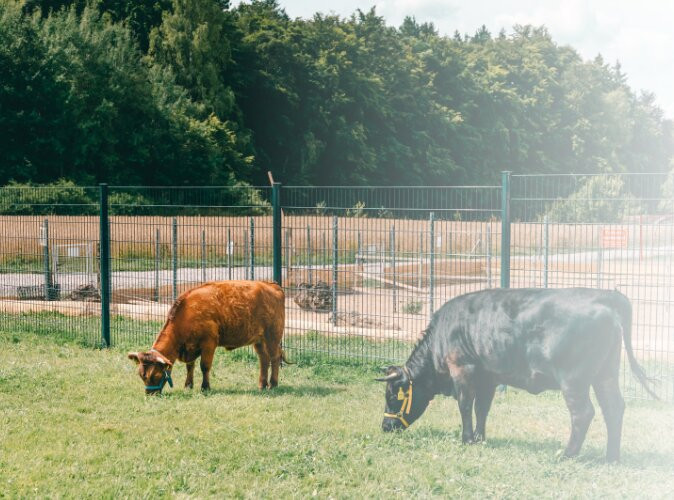 Egloffstein酒店住宿-Familienhotel Friedrichshof