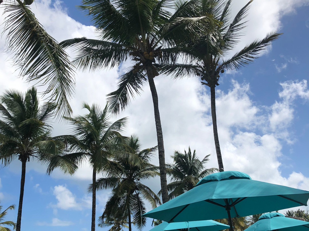 Margaritaville Vacation Club At Wyndham Rio Mar主图