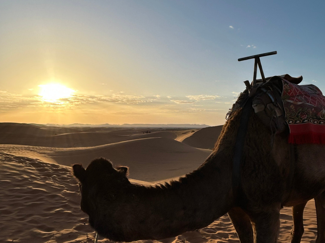 Morocco Experience Tours-丹吉尔必去景点