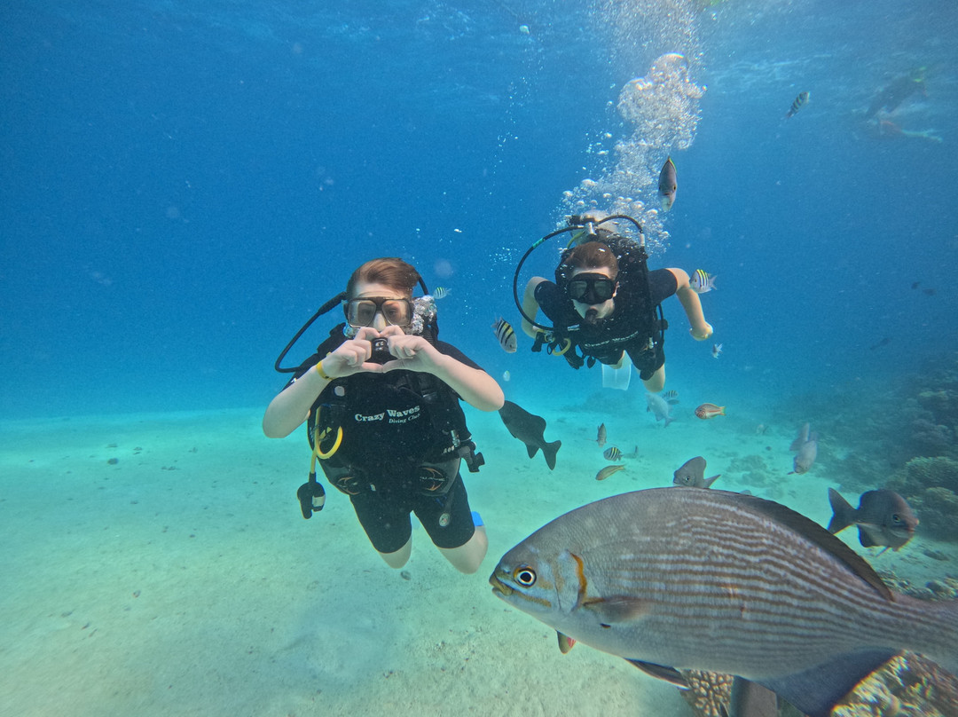 Crazy Waves Diving Club-赫尔格达必去景点