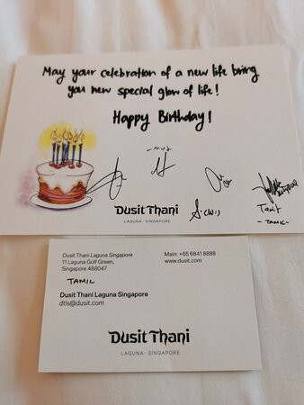 Dusit Thani Laguna Singapore主图