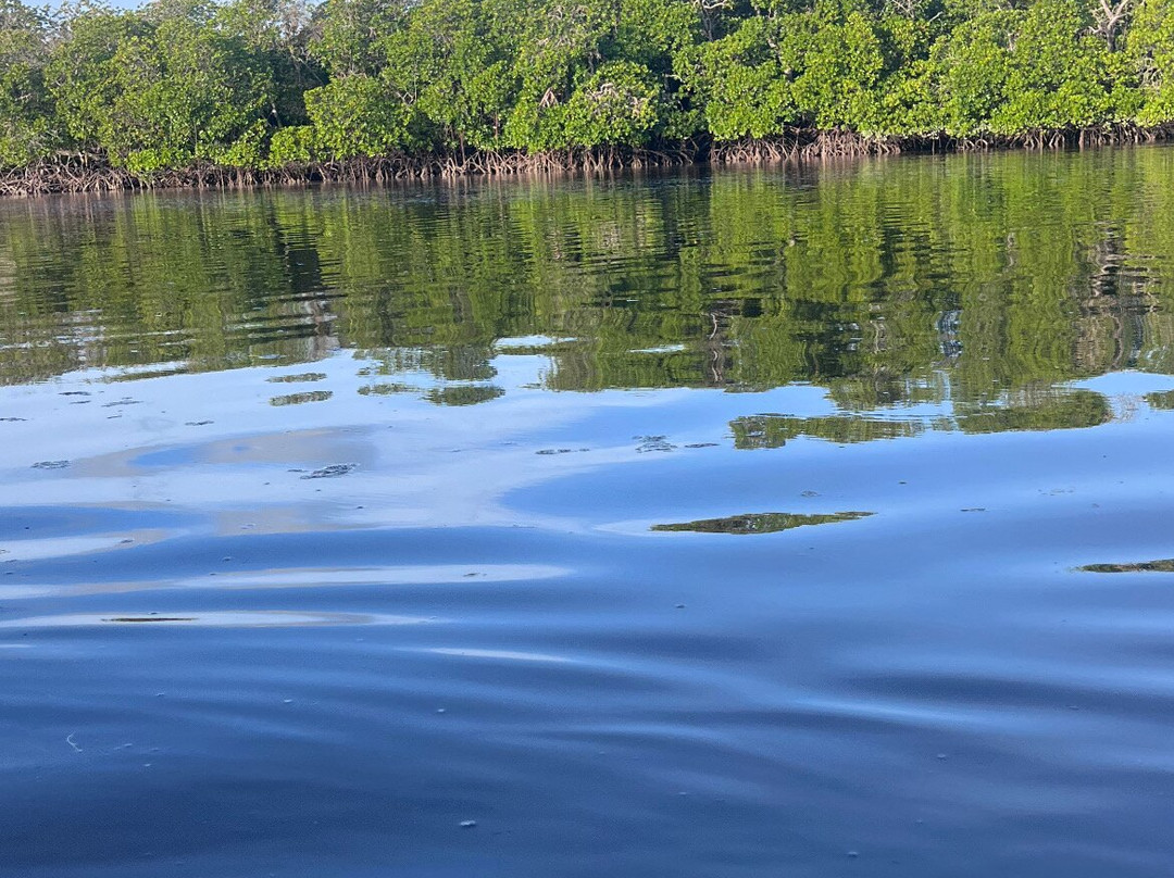 Garibaldi Safari Kenya-瓦塔木必去景点