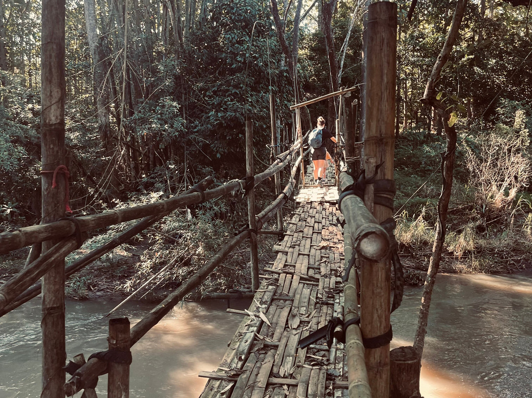 Elephant Sanctuary Care Park-清迈必去景点