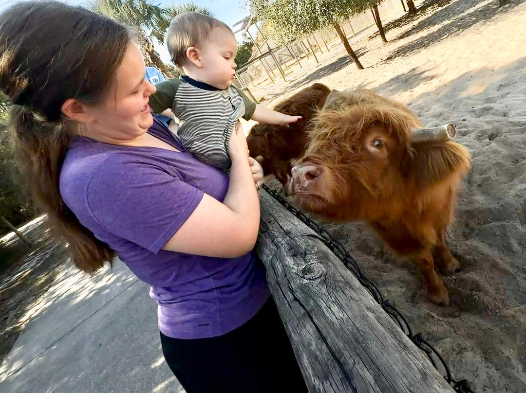 The Gulf Breeze Zoo-Gulf Breeze必去景点