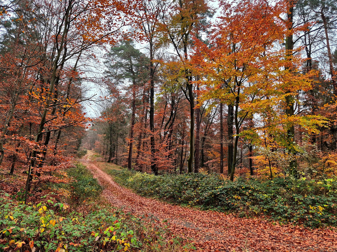 Cochemer Sesselbahn-科赫姆必去景点