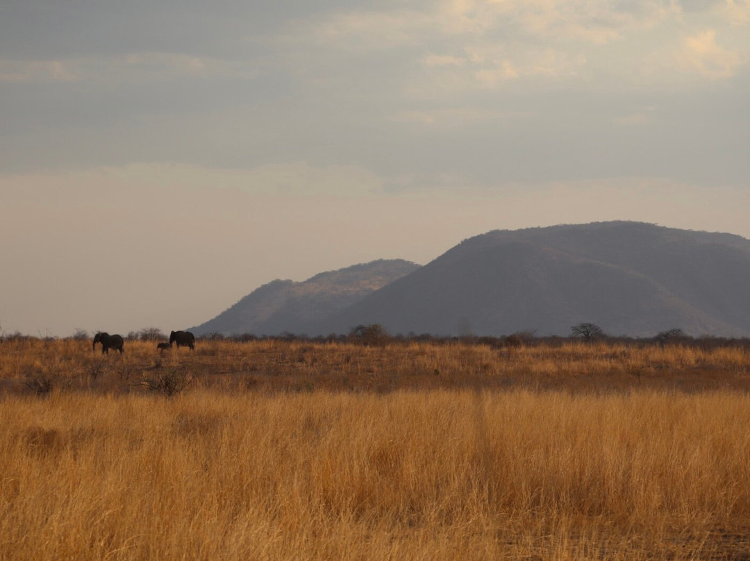 MATEMBO SAFARIS AND TOURS-阿鲁沙必去景点