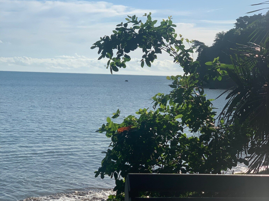 Tassimirim Beach-Ilha de Boipeba必去景点