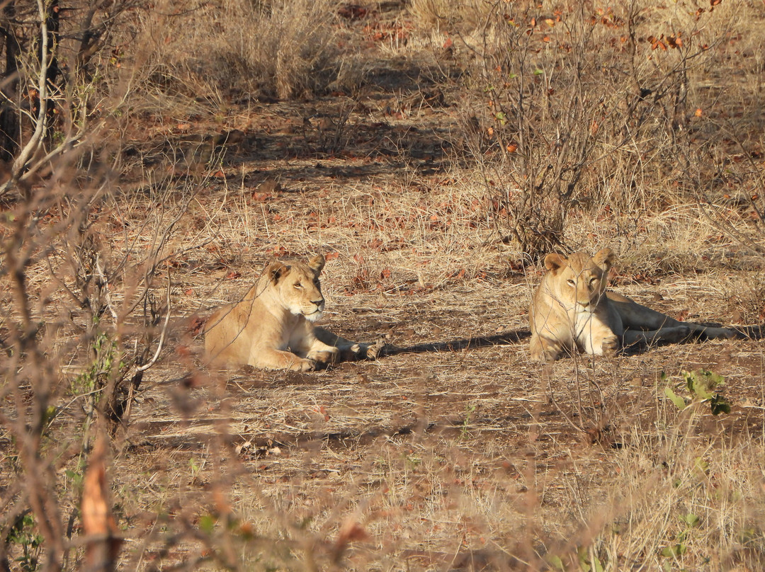 Khalanga Safaris-伐拉博瓦必去景点