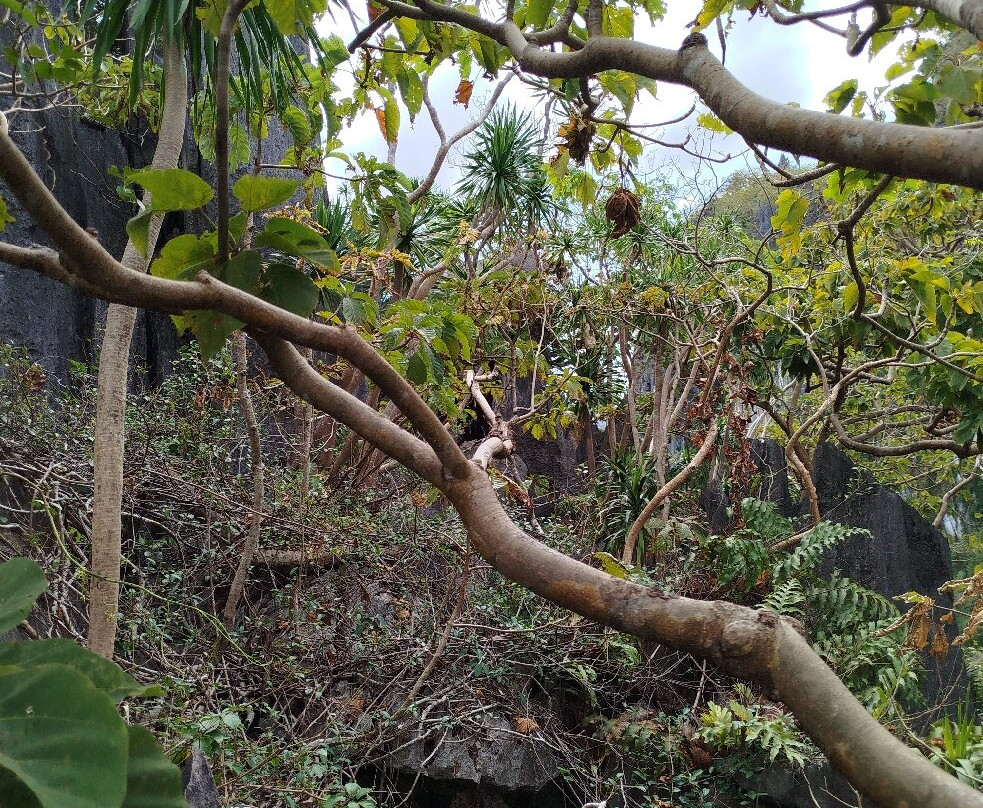 Taraw Cliff-爱妮岛必去景点