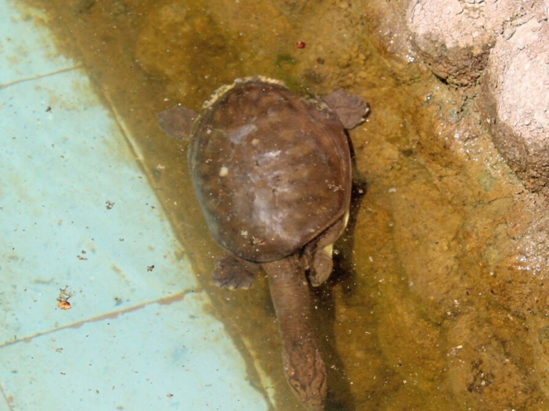 Gandhi Prani Udhyan-瓜廖尔必去景点