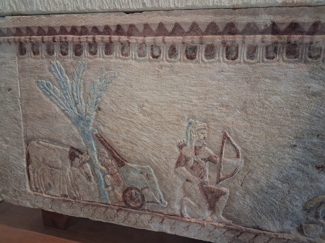 Museo Archeologico Di Palaipafos A Kouklia