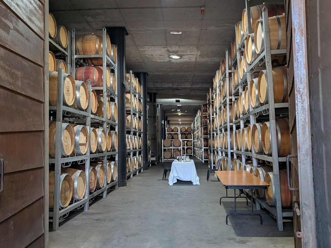 Viña Perez Cruz-Paine必去景点