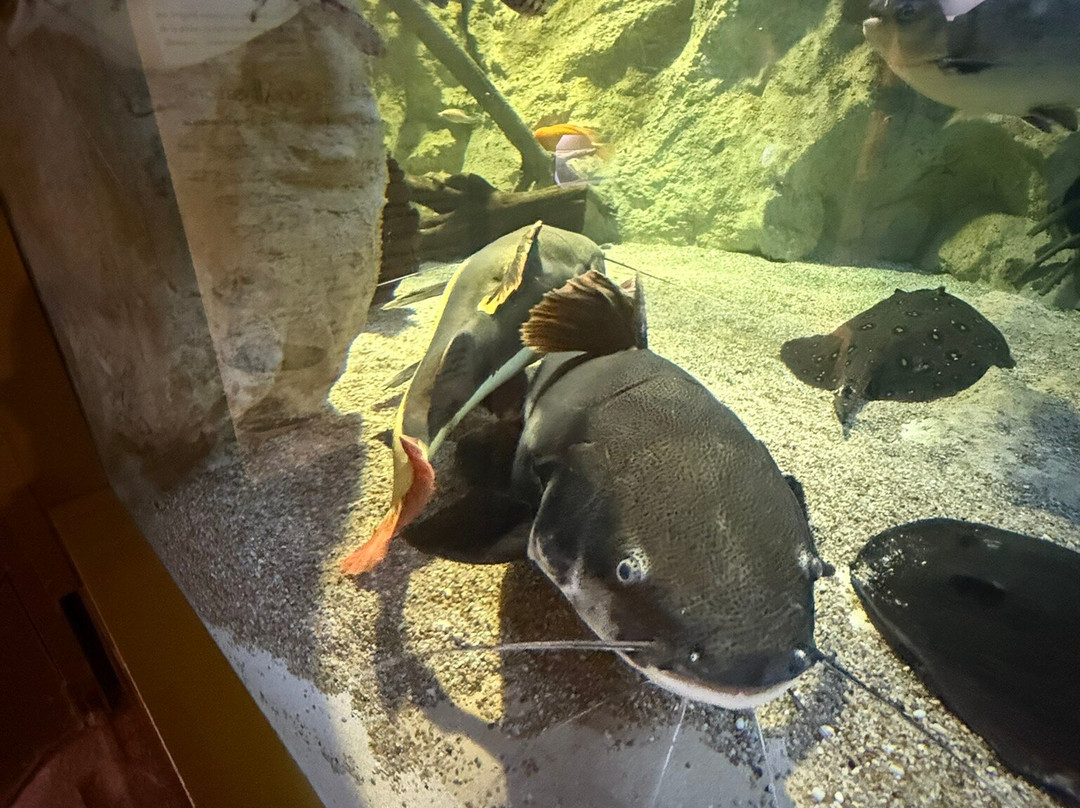 Aquarium du Limousin-利摩日必去景点