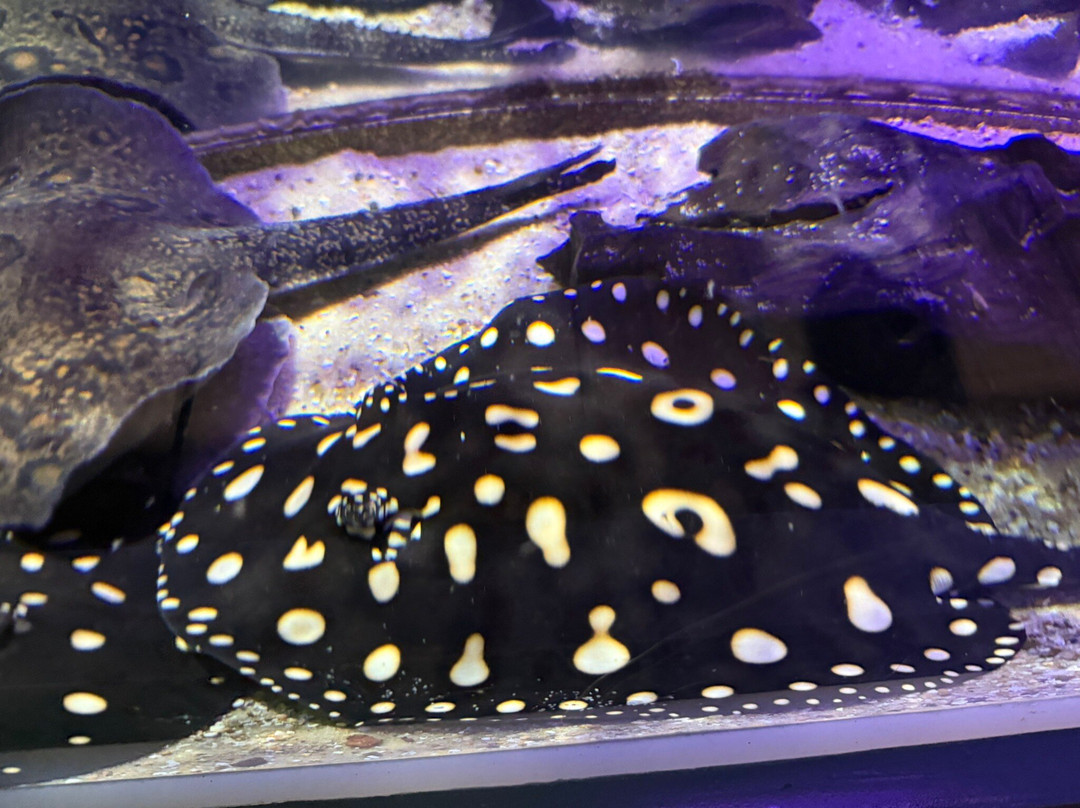 Aquarium du Limousin-利摩日必去景点