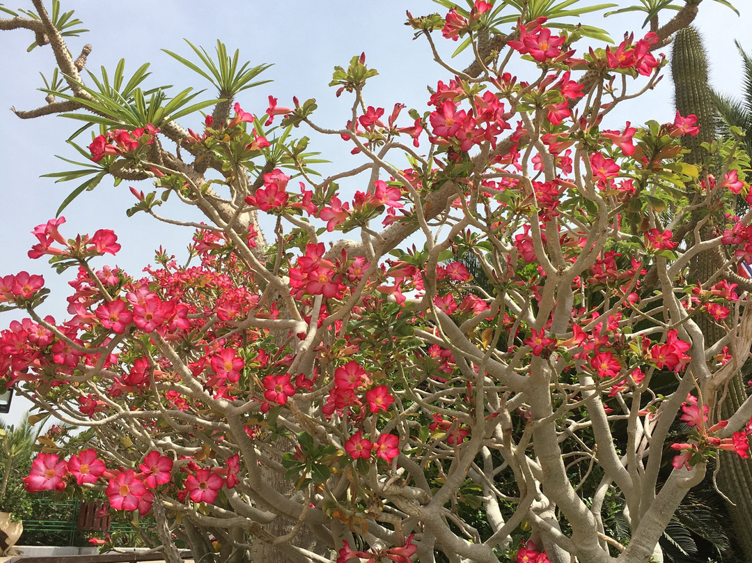 Bella Troun Guest House主图