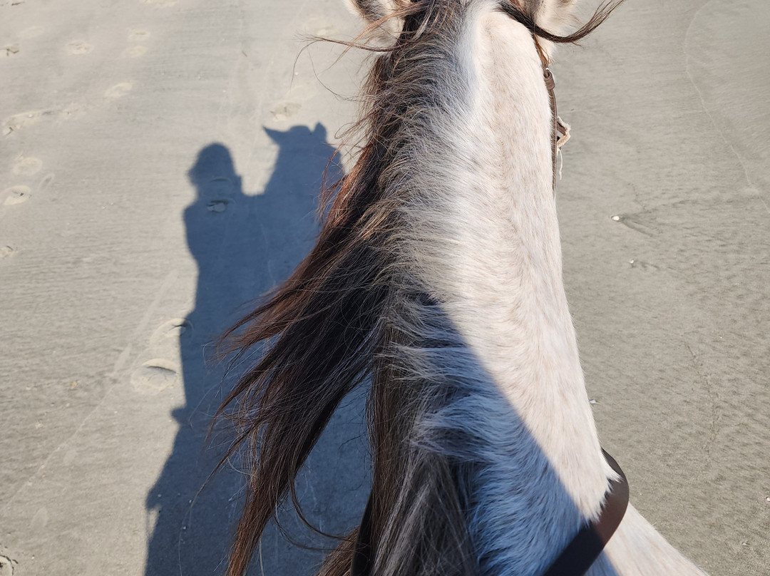 The Stables at Frederica,-圣西蒙斯岛必去景点