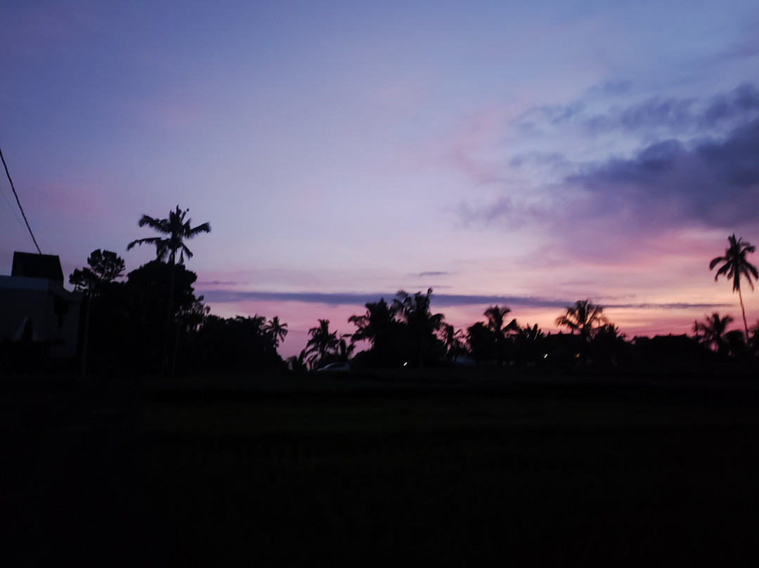 The Nenggala Suite主图